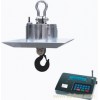 供應耐高溫電子吊秤，直視耐高溫電子吊秤，上海電子吊秤，電子秤