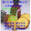 菠蘿蛋白酶，福建菠蘿蛋白酶生產商，廈門哪里有菠蘿蛋白酶
