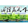 茶多糖，福建茶多糖生產商，廈門哪里有茶多糖食品級