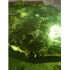 堿性紫，5BN，2B，堿基青蓮，548-62-9
